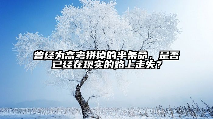 曾经为高考拼掉的半条命，是否已经在现实的路上走失？