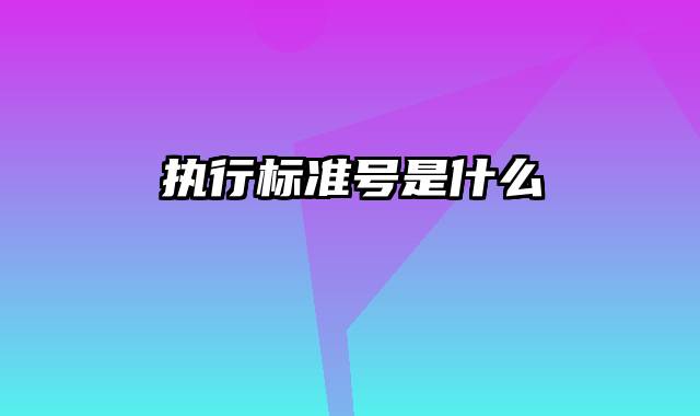 执行标准号是什么