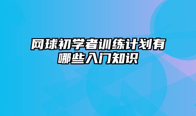 网球初学者训练计划有哪些入门知识