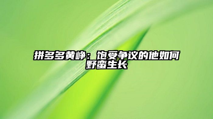 拼多多黄峥：饱受争议的他如何野蛮生长