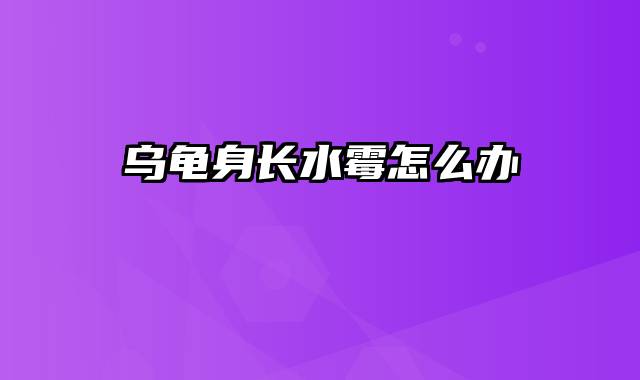 乌龟身长水霉怎么办