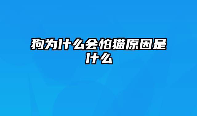 狗为什么会怕猫原因是什么