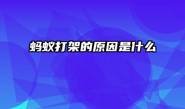 蚂蚁打架的原因是什么