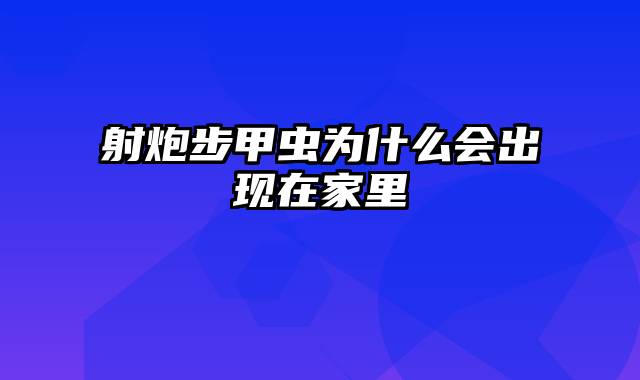 射炮步甲虫为什么会出现在家里