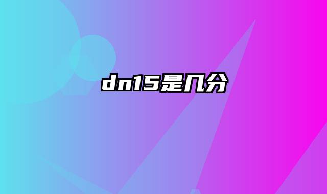 dn15是几分