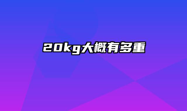 20kg大概有多重