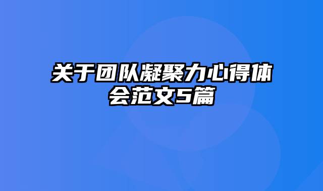 关于团队凝聚力心得体会范文5篇