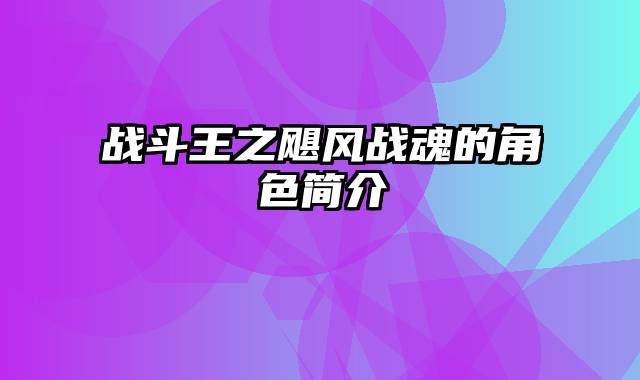 战斗王之飓风战魂的角色简介