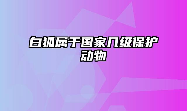 白狐属于国家几级保护动物