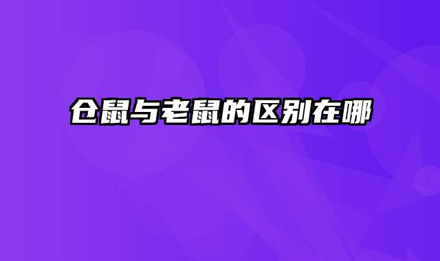 仓鼠与老鼠的区别在哪