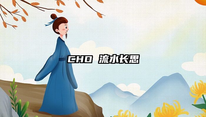 CHO 流水长思