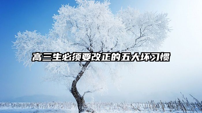 高三生必须要改正的五大坏习惯