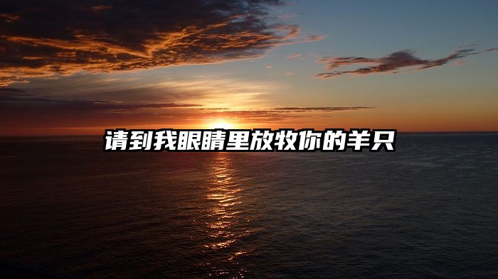 请到我眼睛里放牧你的羊只
