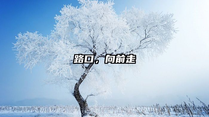 路口，向前走