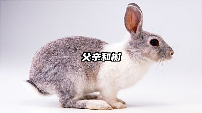 父亲和树