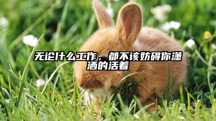 无论什么工作，都不该妨碍你潇洒的活着