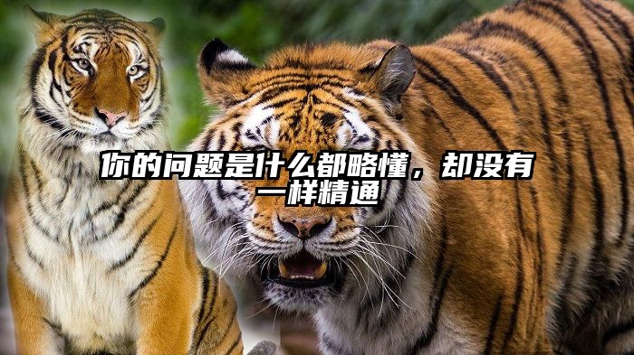 你的问题是什么都略懂，却没有一样精通