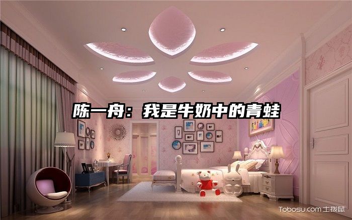 陈一舟：我是牛奶中的青蛙