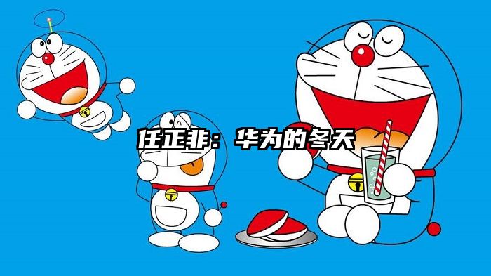 任正非：华为的冬天