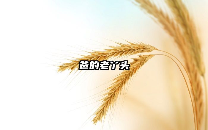 爸的老丫头