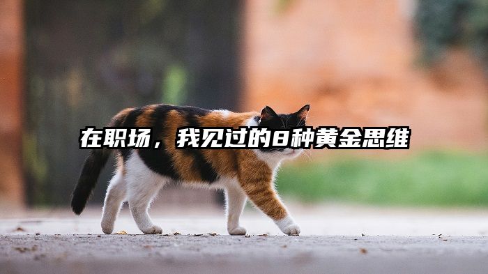 在职场，我见过的8种黄金思维