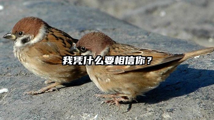 我凭什么要相信你？