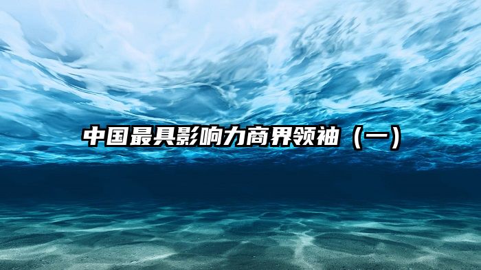 中国最具影响力商界领袖（一）