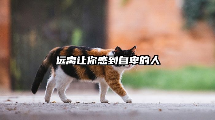 远离让你感到自卑的人