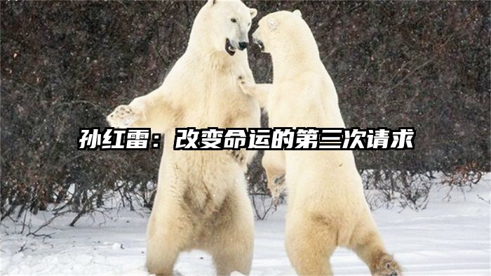 孙红雷：改变命运的第三次请求