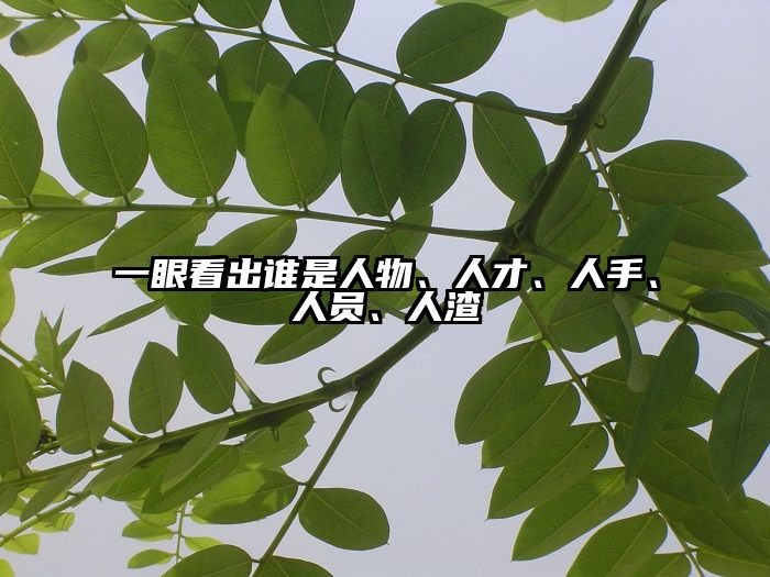 一眼看出谁是人物、人才、人手、人员、人渣