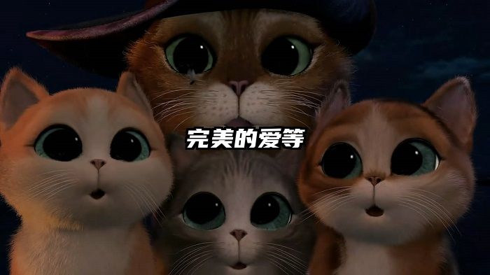 完美的爱等