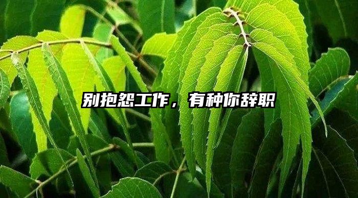 别抱怨工作，有种你辞职