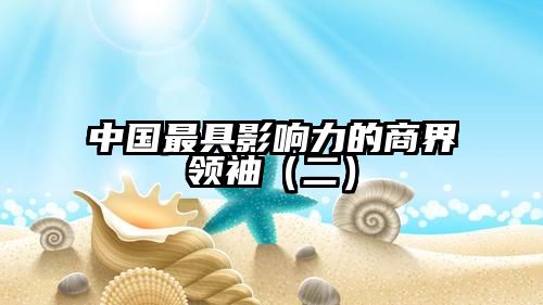 中国最具影响力的商界领袖（二）