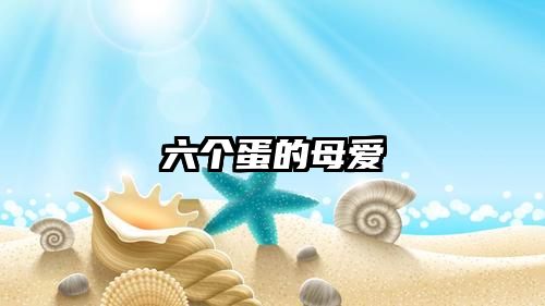 六个蛋的母爱