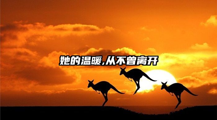 她的温暖,从不曾离开
