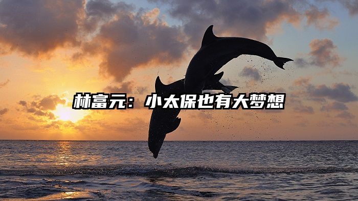 林富元：小太保也有大梦想