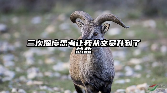三次深度思考让我从文员升到了总监