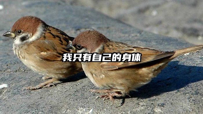 我只有自己的身体