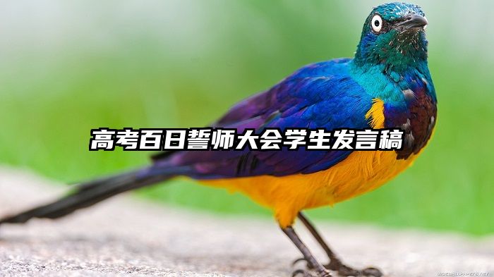高考百日誓师大会学生发言稿