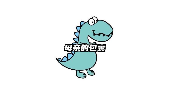 母亲的包裹