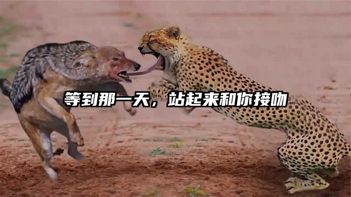 等到那一天，站起来和你接吻