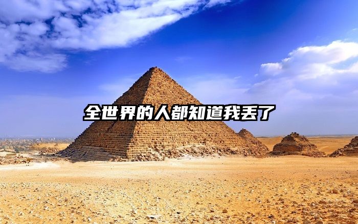 全世界的人都知道我丢了