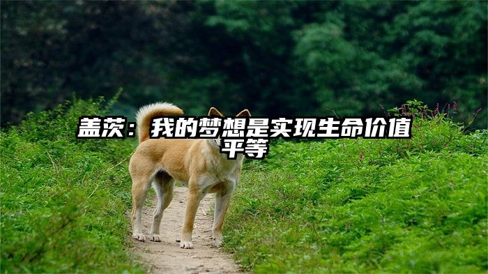 盖茨：我的梦想是实现生命价值平等