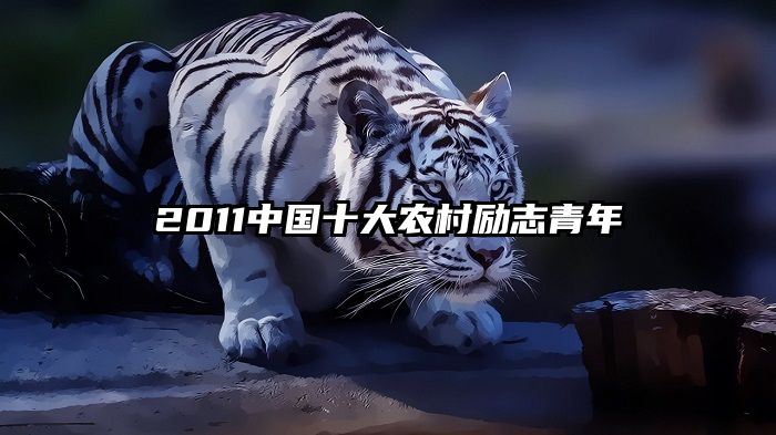 2011中国十大农村励志青年