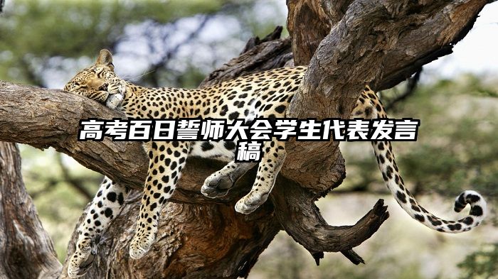 高考百日誓师大会学生代表发言稿
