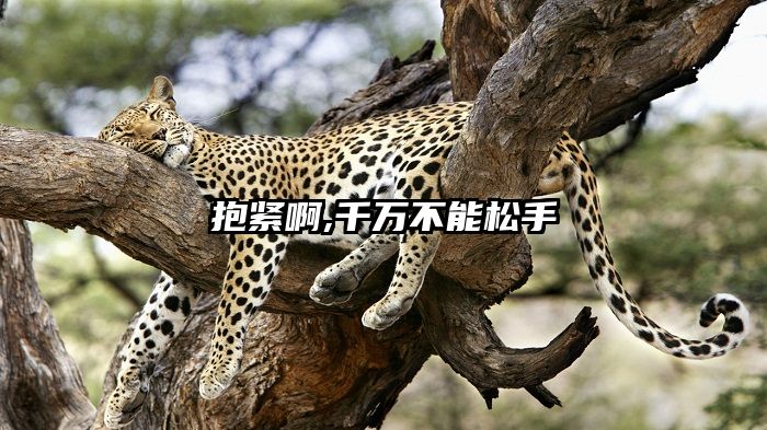 抱紧啊,千万不能松手