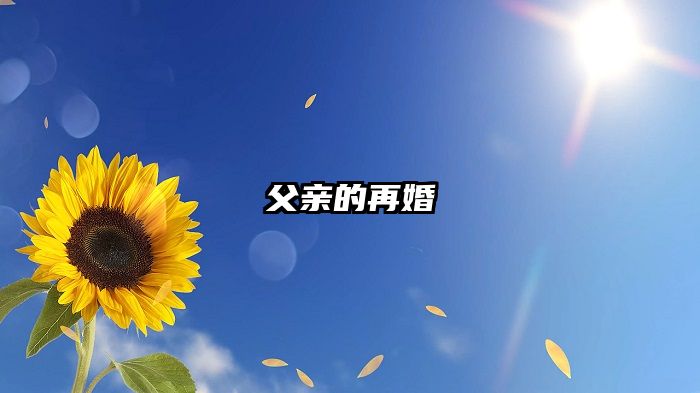 父亲的再婚