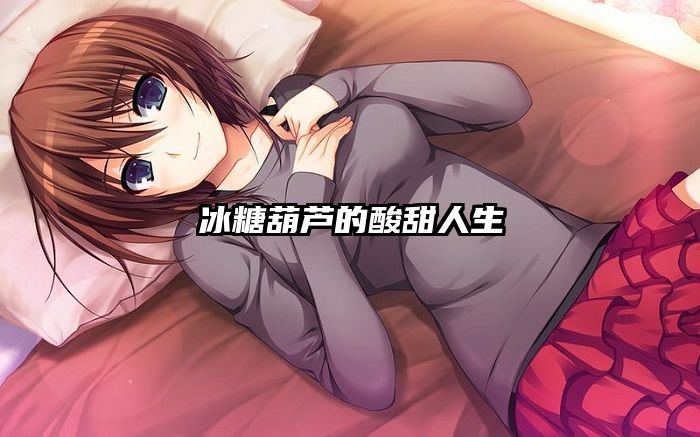冰糖葫芦的酸甜人生