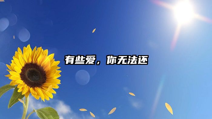 有些爱，你无法还