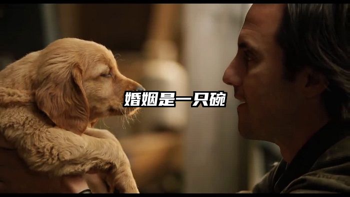 婚姻是一只碗